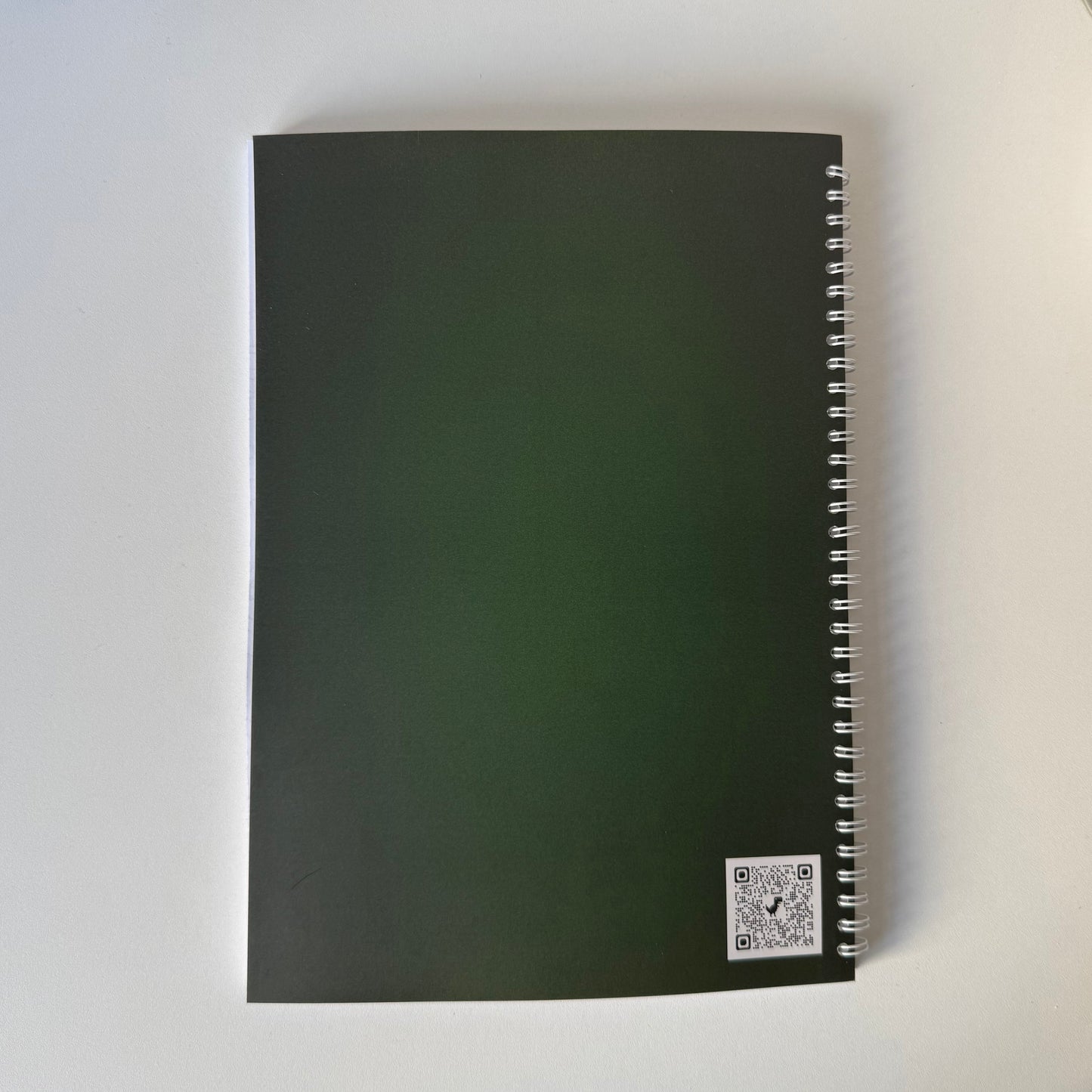 Caiet clasele IX - XII 50 file (cu formule)