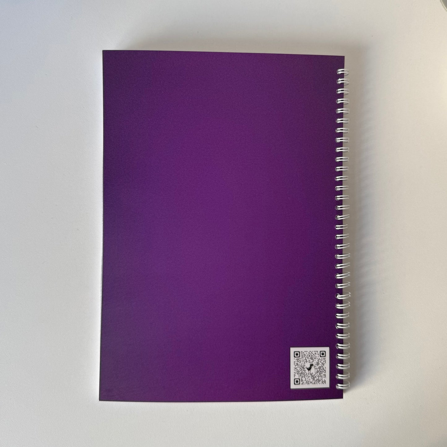 Caiet clasa a XI-a 50 file (cu formule)