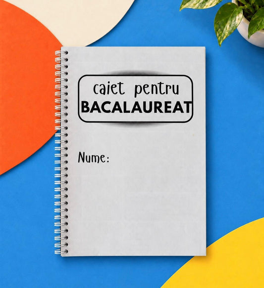 Caiet BAC 50 file (cu formule)