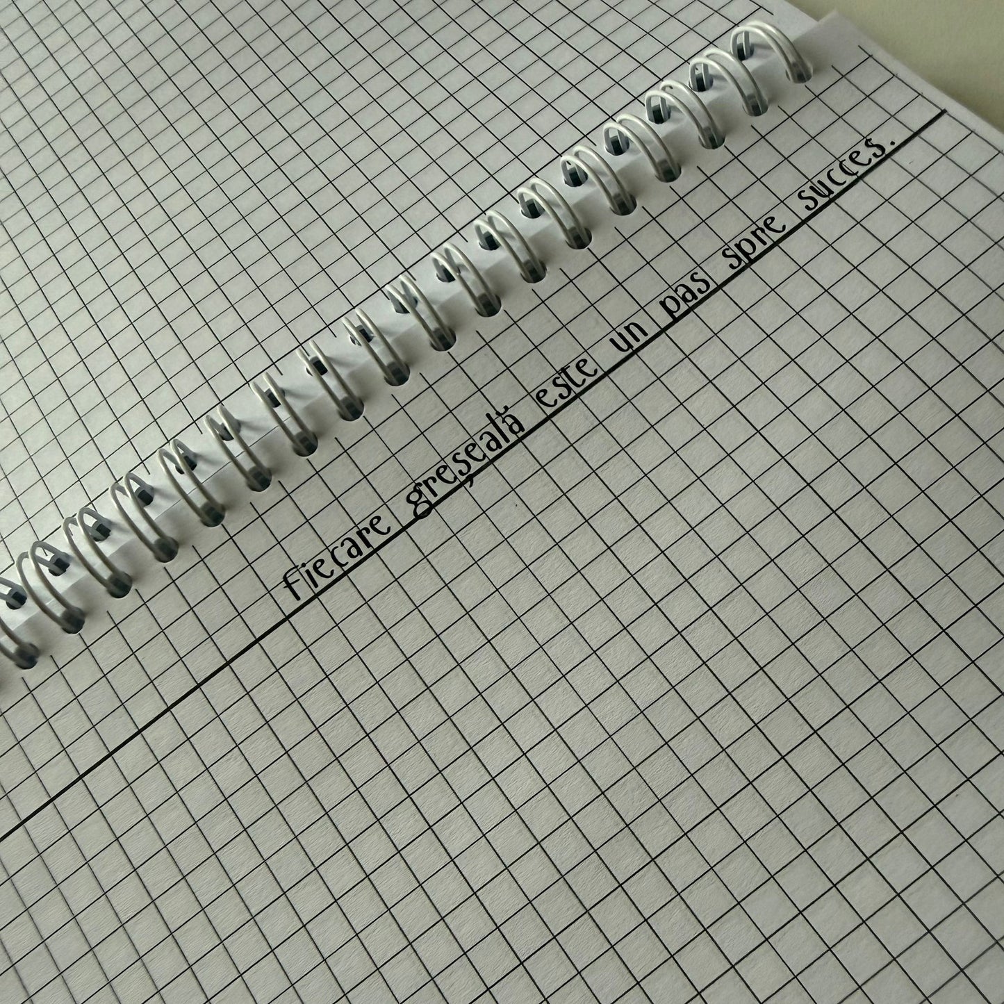 Caiet Evaluarea Națională 50 file (cu formule)