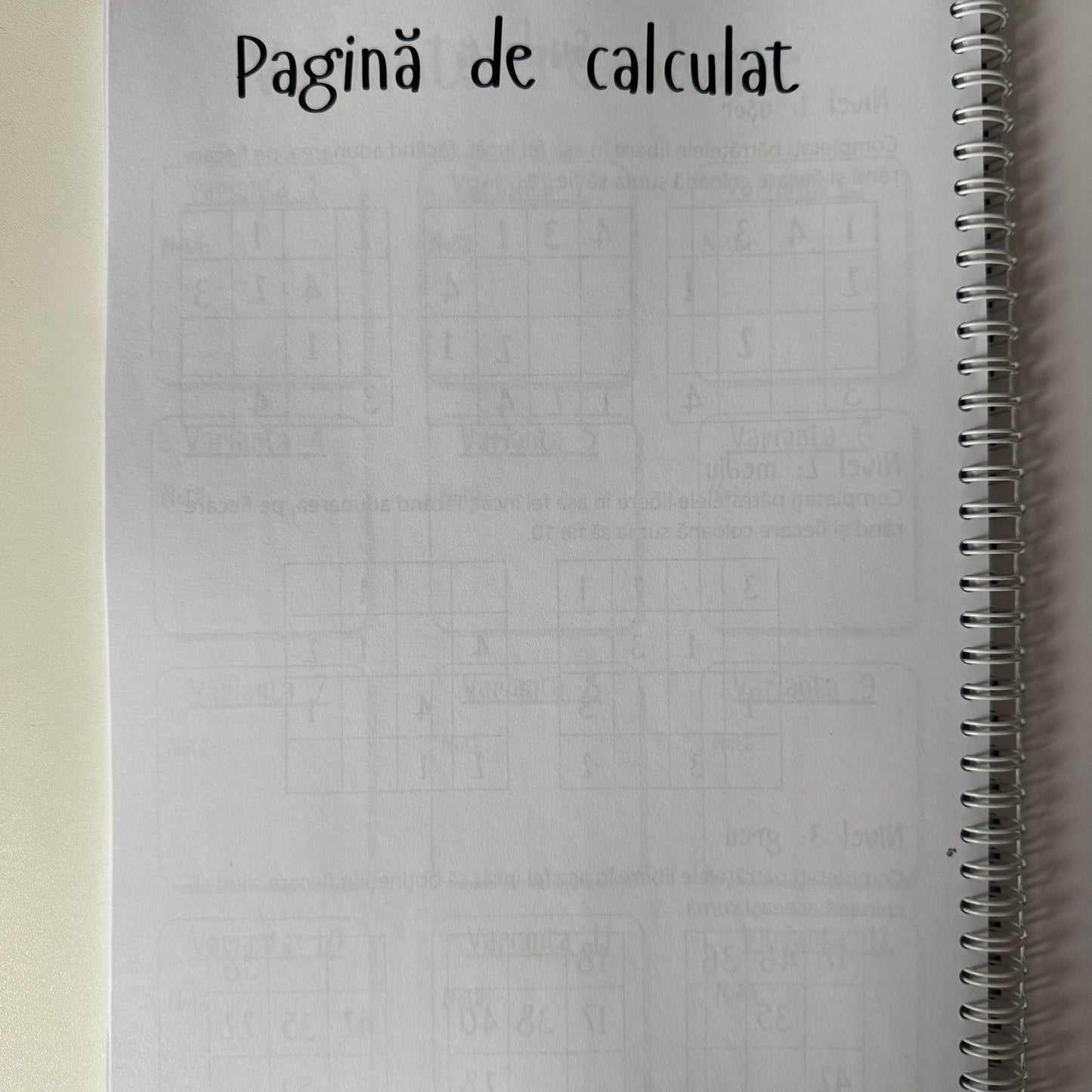 Caiet Evaluarea Națională 50 file (cu formule)