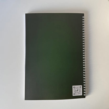 Caiet clasele IX - XII 50 file (cu formule)