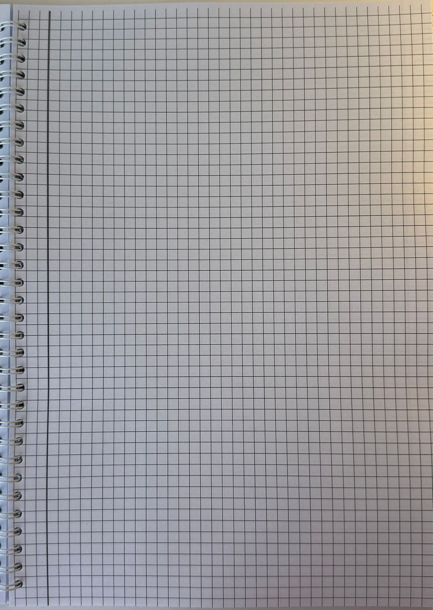 Caiet clasele IX - XII 50 file (cu formule)