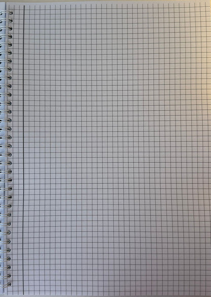 Caiet clasele IX - XII 50 file (cu formule)