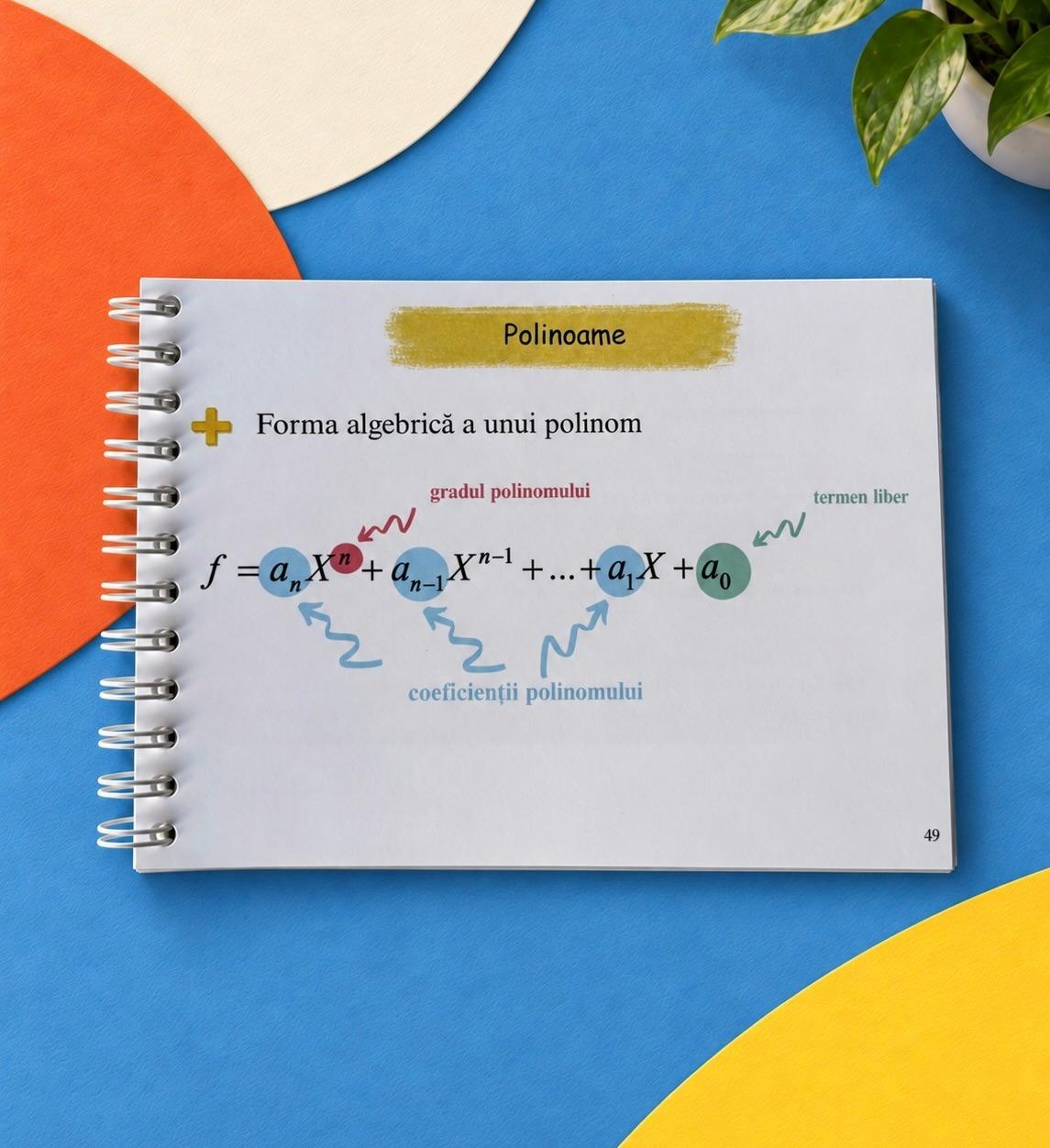Math Shots - Teorie esențială pentru BAC