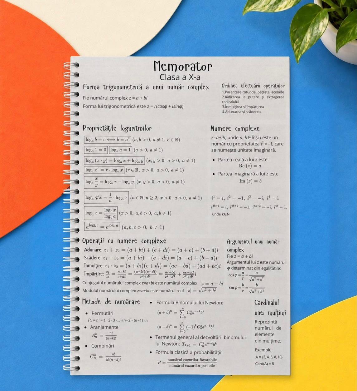 Caiet clasele IX - XII 50 file (cu formule)