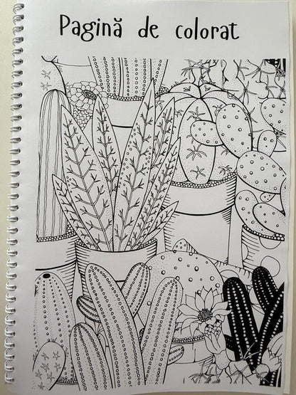 Caiet clasa a VII-a 50 file (cu formule)