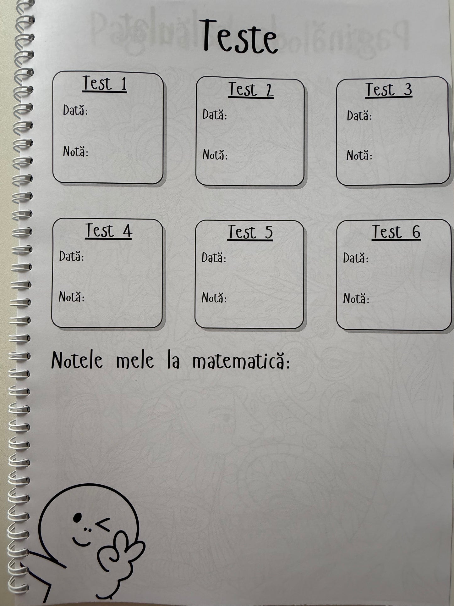 Caiet clasa a VIII-a 50 file (cu formule)