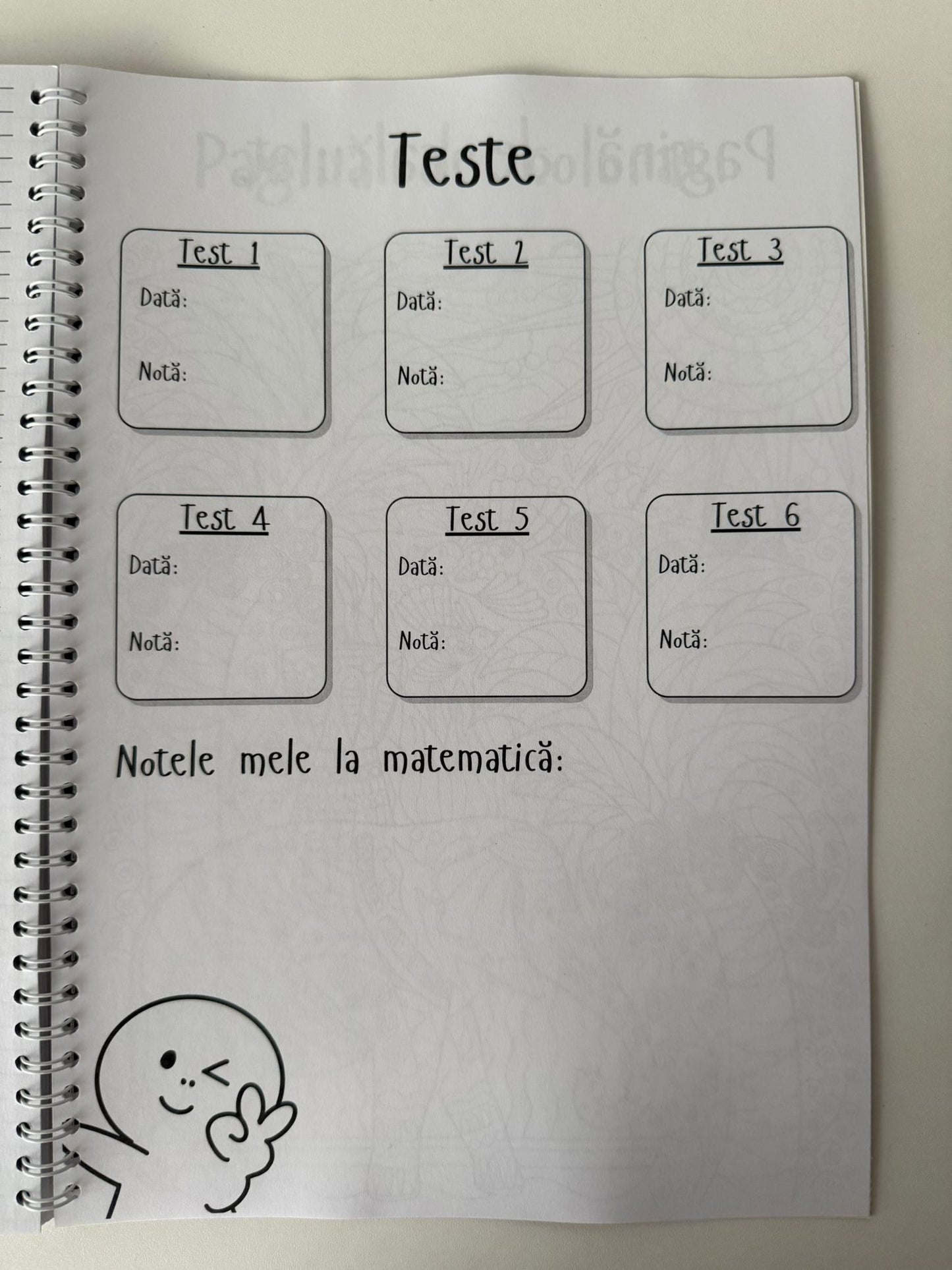 Caiet Clasa a VI-a 50 file (cu formule)