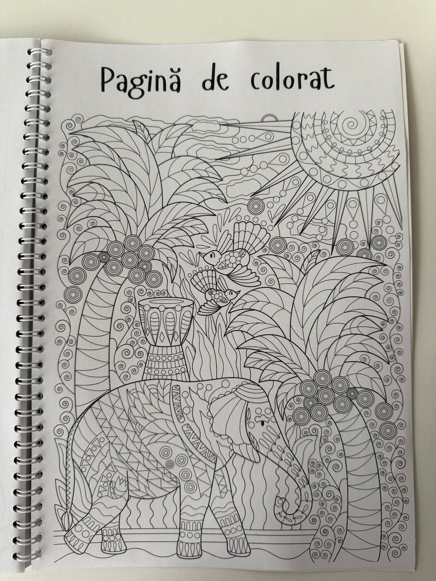 Caiet Clasa a VI-a 50 file (cu formule)