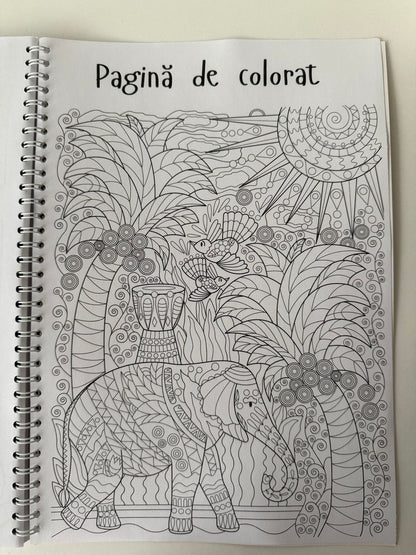 Caiet Clasa a VI-a 50 file (cu formule)