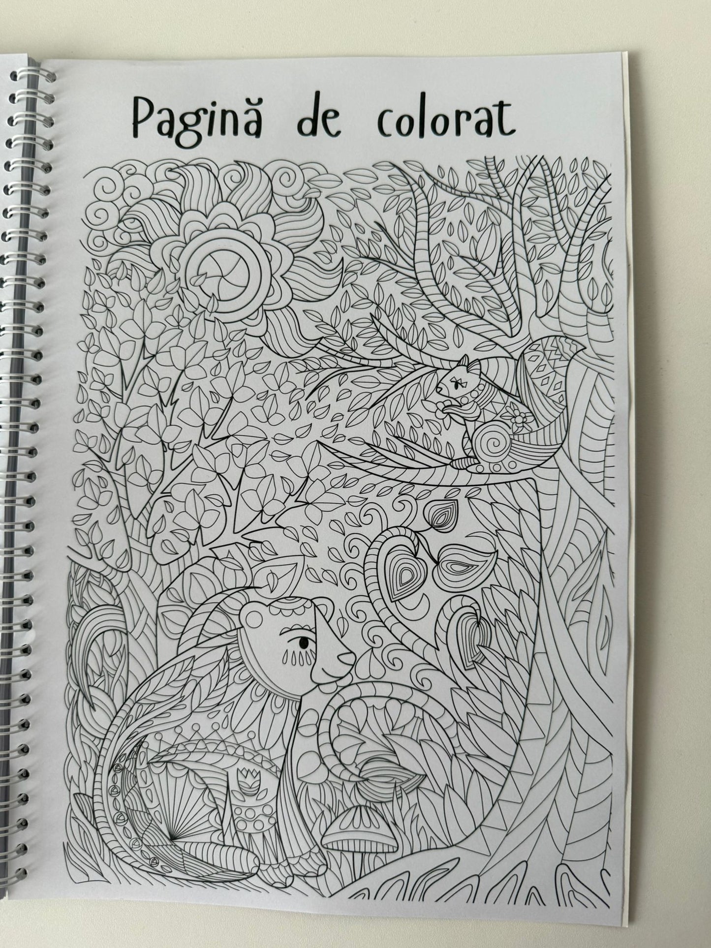 Caiet clasa a VIII-a 50 file (cu formule)