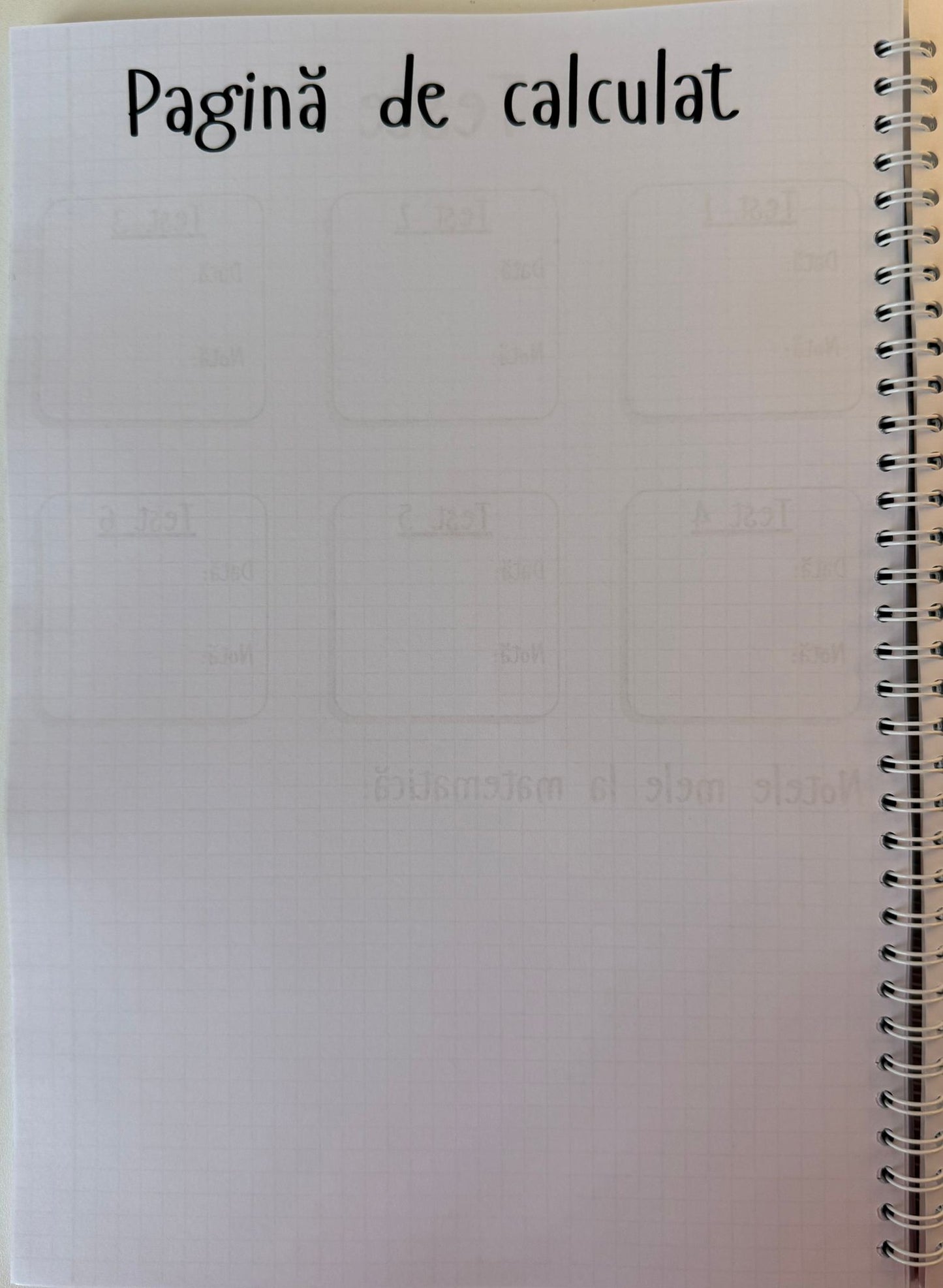 Caiet clasele IX - XII 50 file (cu formule)