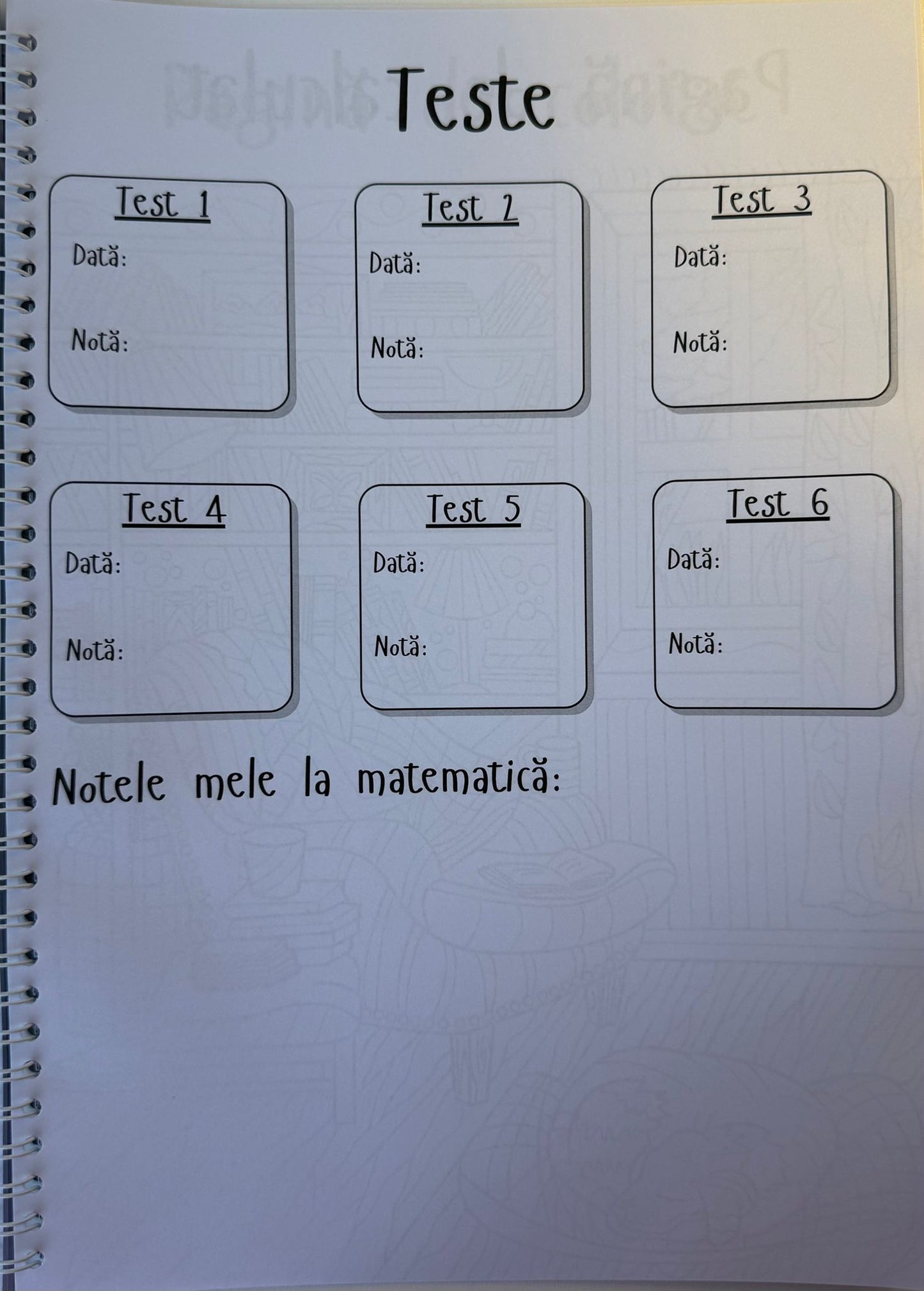 Caiet clasele IX - XII 50 file (cu formule)