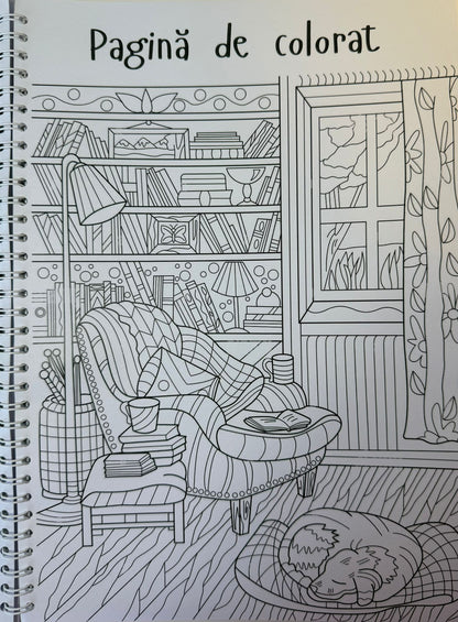 Caiet clasa a X-a 50 file (cu formule)