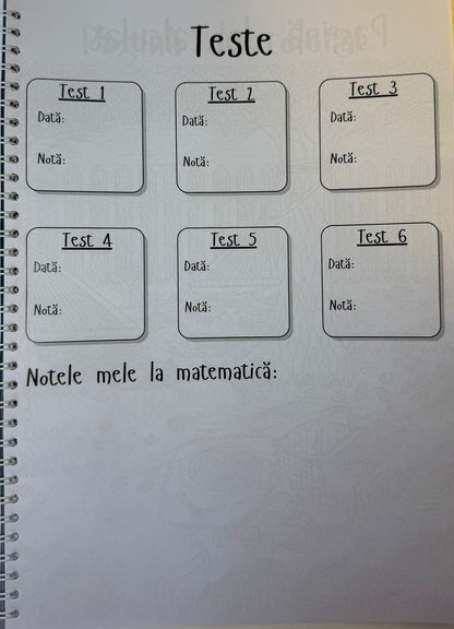 Caiet clasa a XI-a 50 file (cu formule)