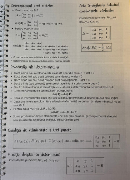 Caiet clasa a XI-a 50 file (cu formule)
