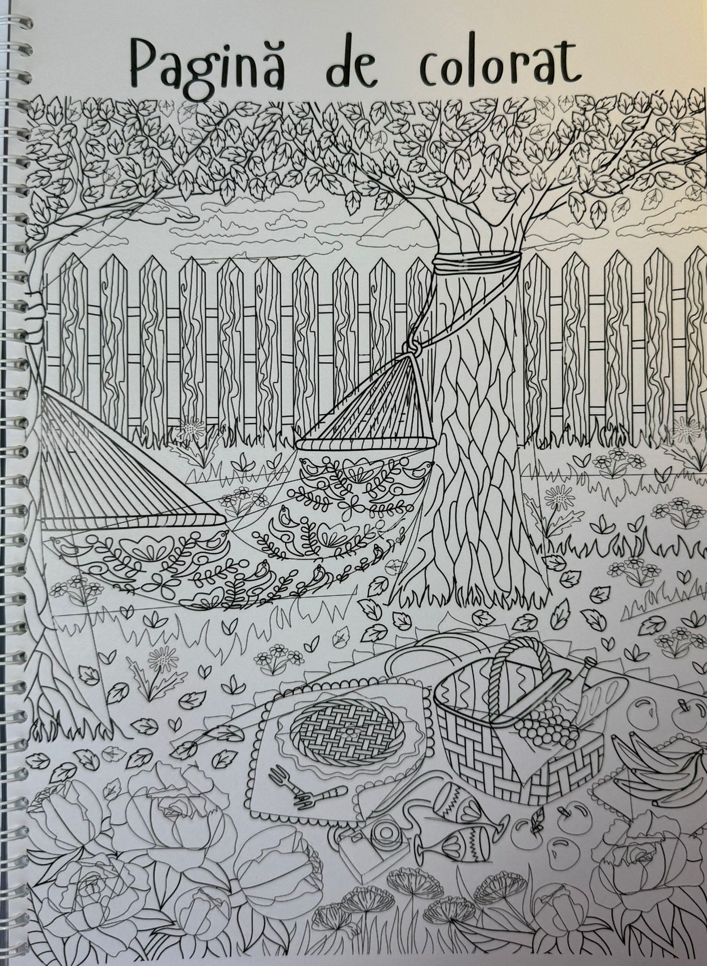 Caiet clasa a XI-a 50 file (cu formule)