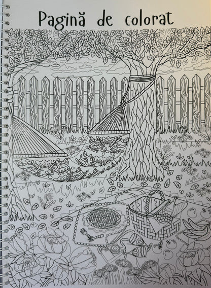 Caiet clasa a XI-a 50 file (cu formule)