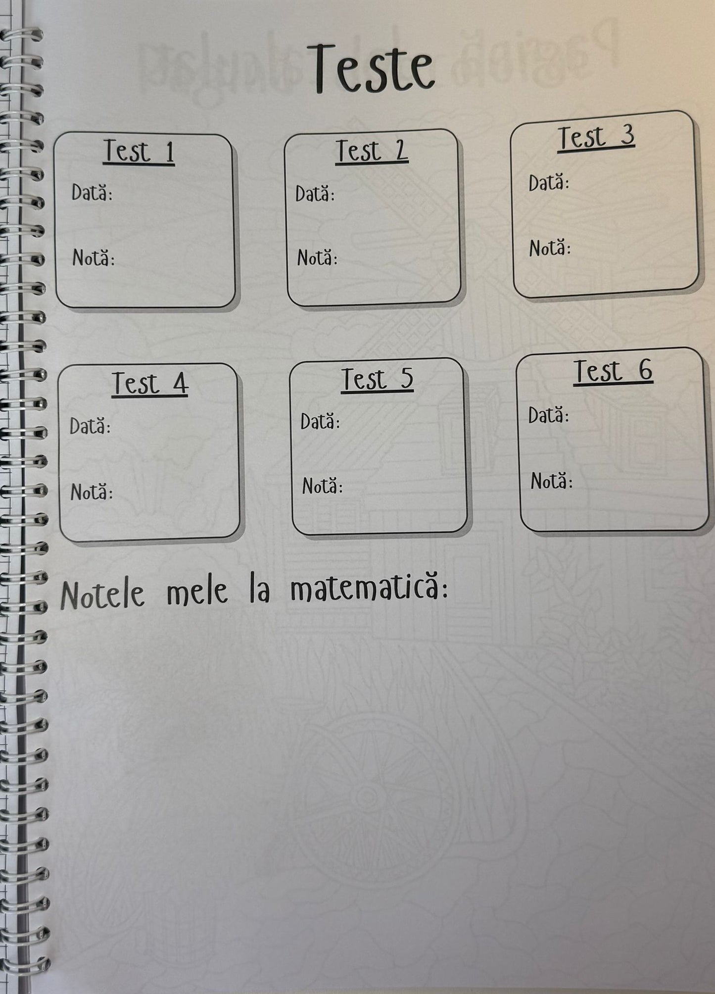 Caiet clasa a XII-a 50 file (cu formule)