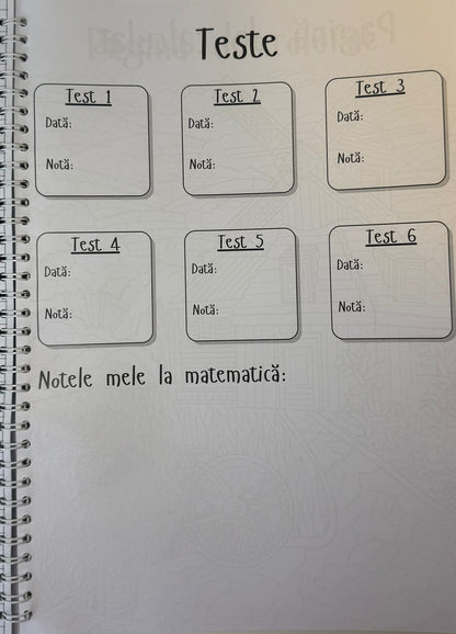Caiet clasa a XII-a 50 file (cu formule)