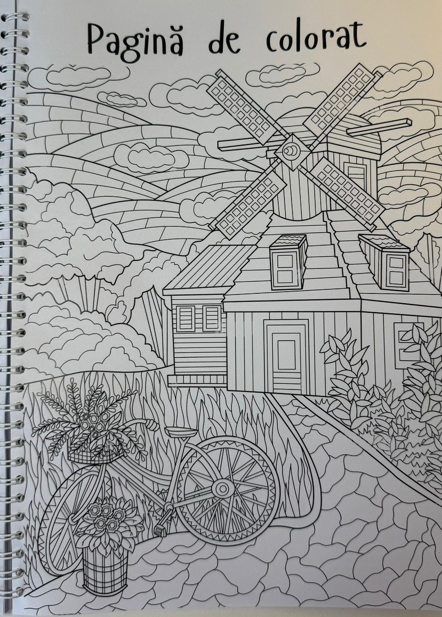 Caiet clasa a XII-a 50 file (cu formule)