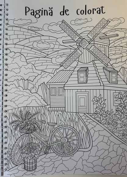 Caiet clasa a XII-a 50 file (cu formule)