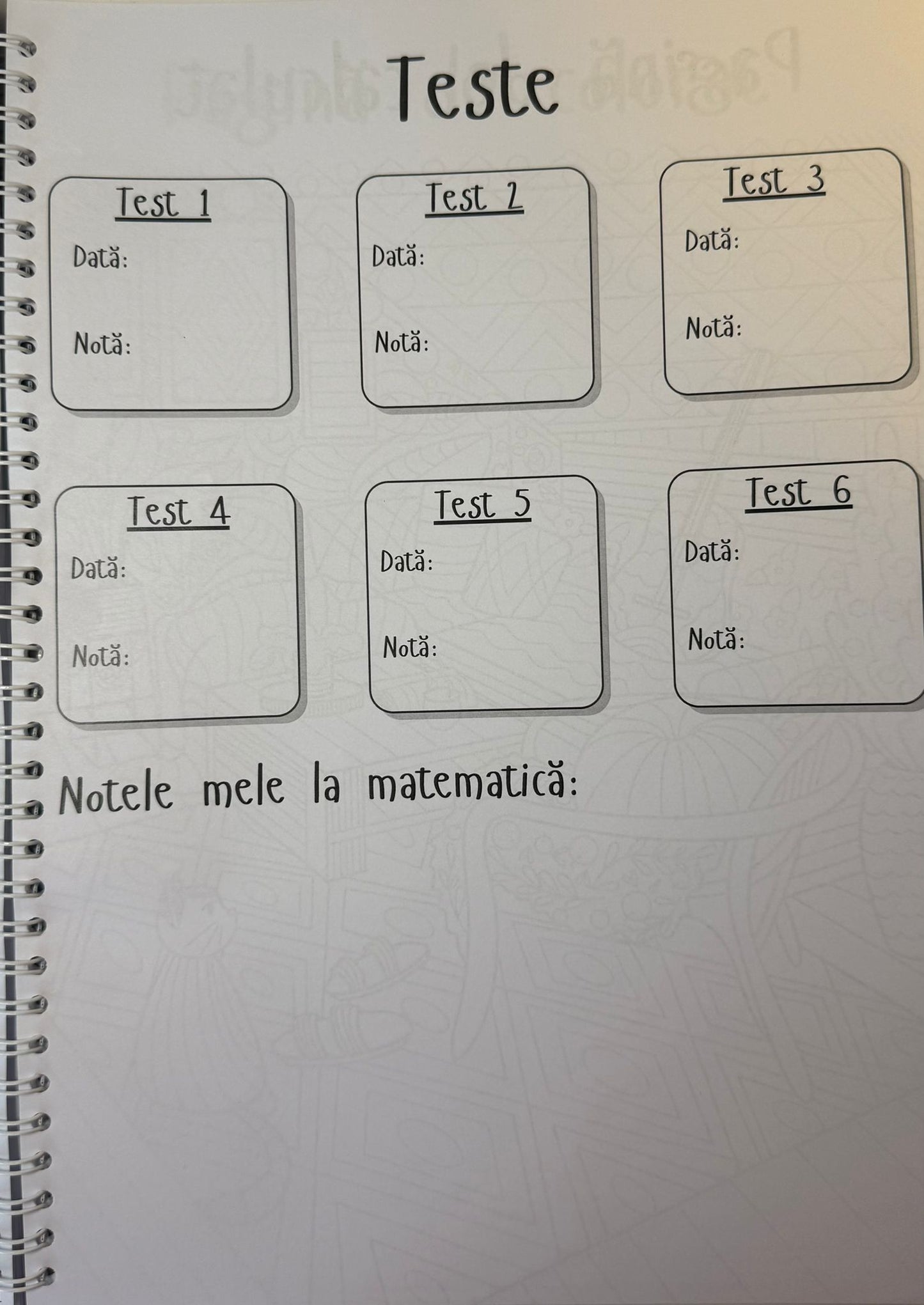 Caiet clasa a IX-a 50 file (cu formule)