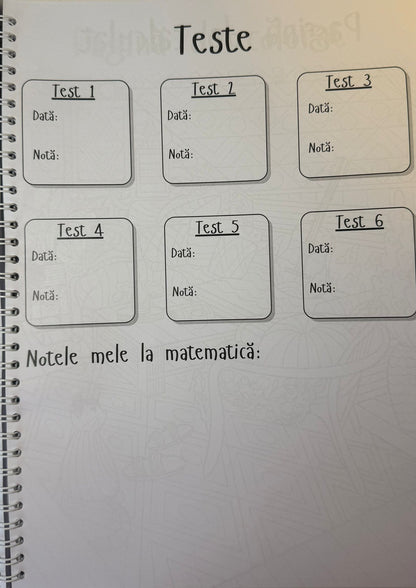 Caiet clasa a IX-a 50 file (cu formule)