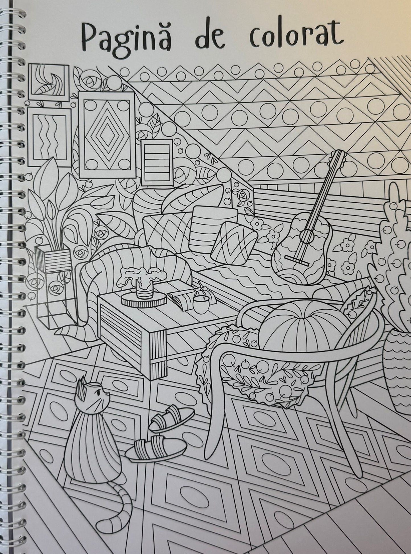 Caiet clasa a IX-a 50 file (cu formule)